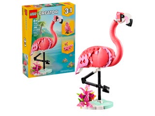 Wild Animals: Pink Flamingo
