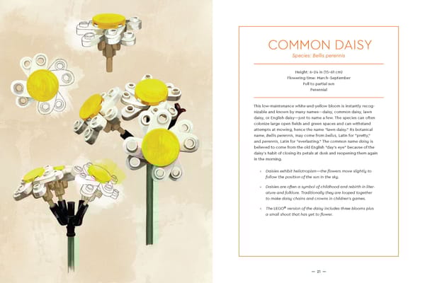 Botanical Almanac Book - Image 7