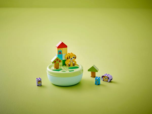 Shape Sorter: Puppy House - Image 9