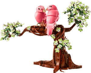 Les oiseaux amoureux