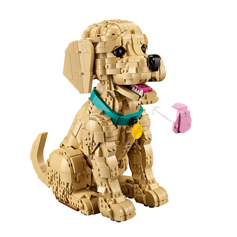 Golden Retriever Puppy