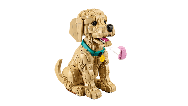 LEGO 11384 Le chiot Golden Retriever — visuel 5 sur 8