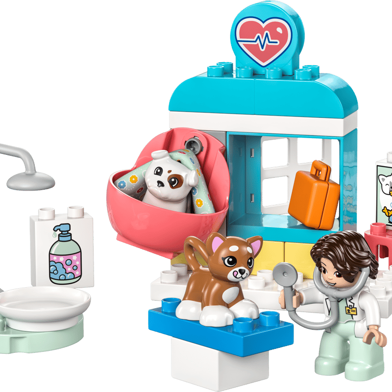 Visit to the Vet Clinic - Main Image