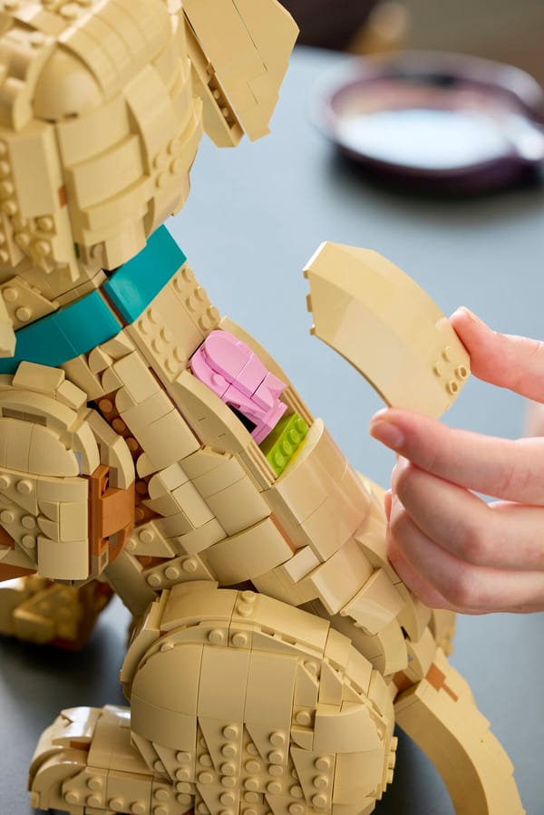 Golden Retriever Puppy - Image 17