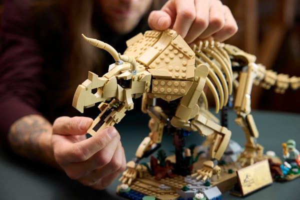 Dinosaur Fossils: Triceratops - Image 14