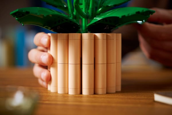 Peace Lily - Image 11