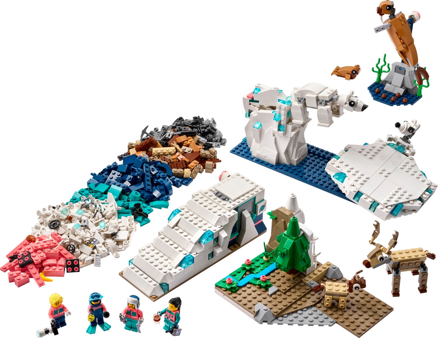 Ensemble Science et Technologie, animaux arctiques 45203 | LEGO ...