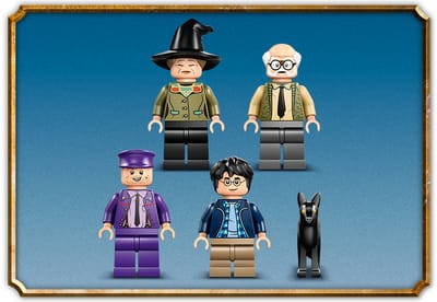 LEGO Harry Potter Avventura su Nottetempo | Italia