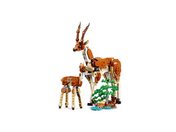 Wild Safari Animals - Image 9