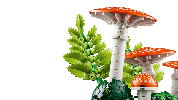 Woodland Mushrooms - Image 7
