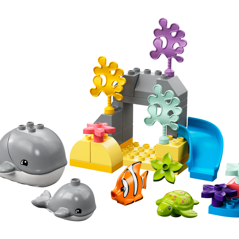 Wild Animals of the Ocean