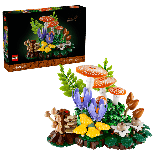 Woodland Mushrooms - Image 3