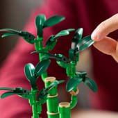 Lucky Bamboo 10344 | Botanicals | Buy online at the Official LEGO® Shop CA