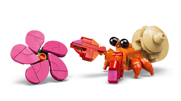 Pua - Image 5