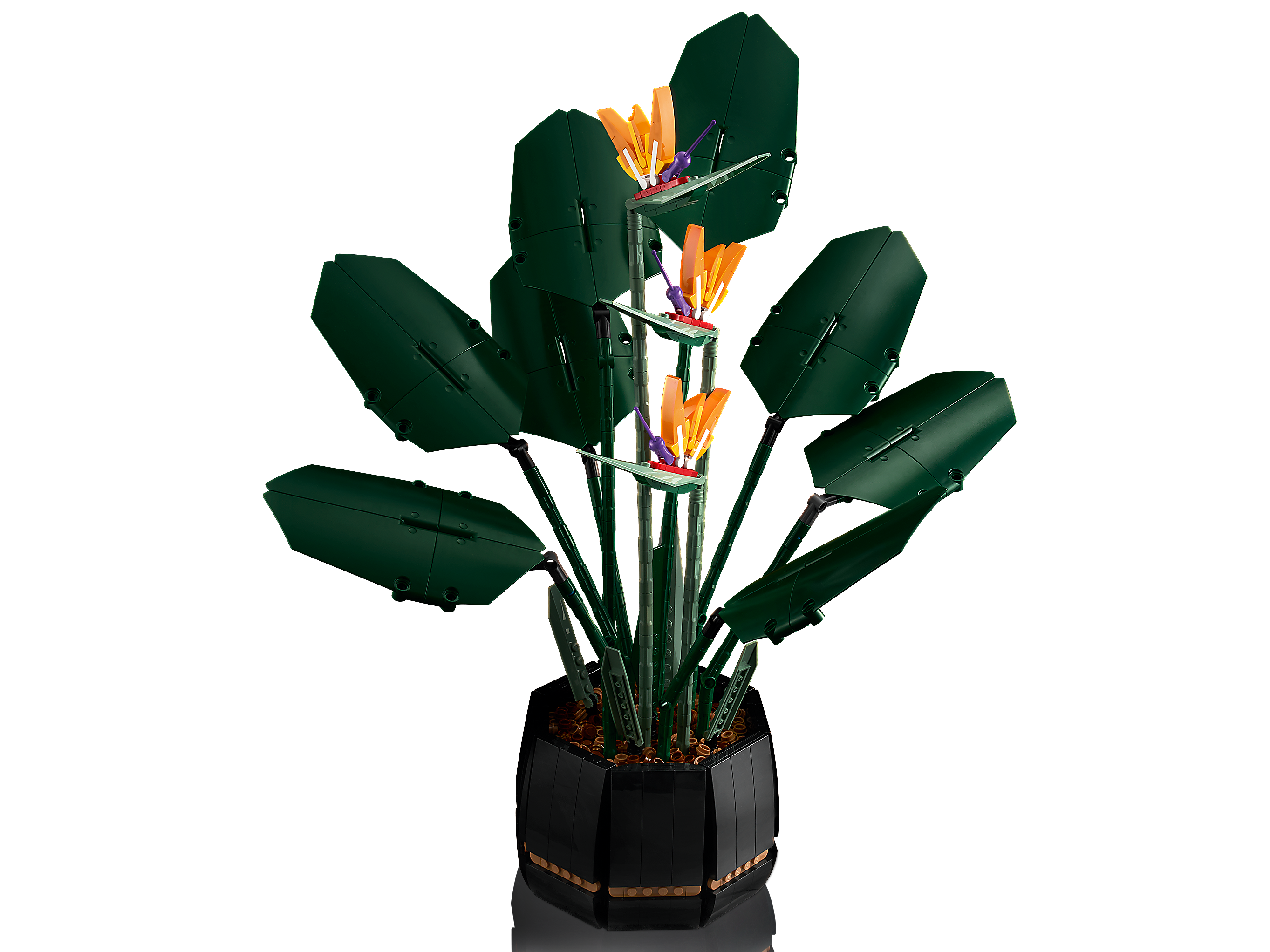 Bird of Paradise 10289 | LEGO® Icons | Buy online at the Official LEGO®  Shop US