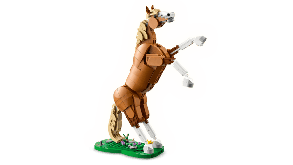 Beautiful Horse - Image 6
