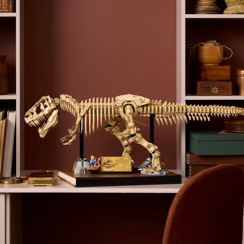 Réplique Bébé T-REX Tyrannosaure Dinosaure Reptile Fossile Réplique Bébé T-REX Tyrannosaure Dinosaure Reptile Fossile