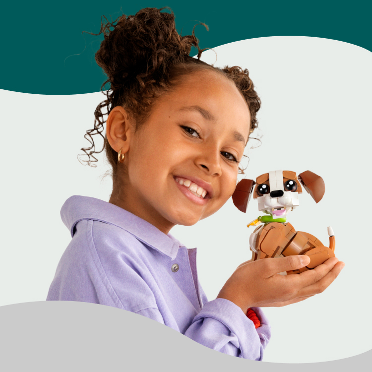 Golden Retriever Puppy