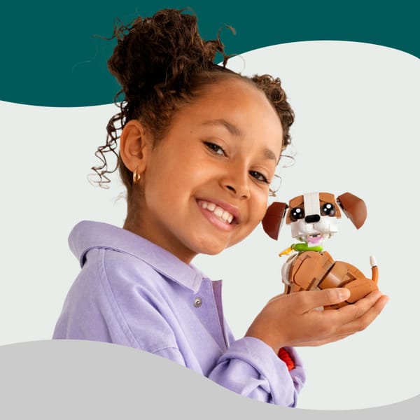 Golden Retriever Puppy