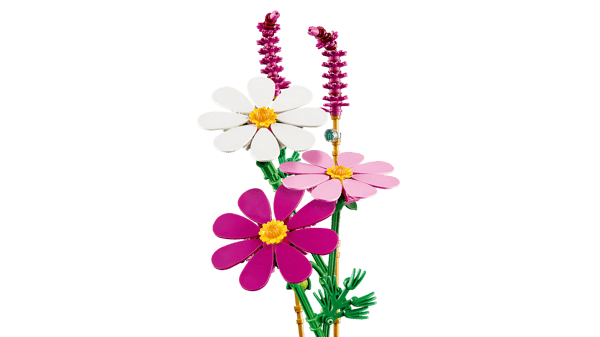 Cosmos Flowers - Image 4