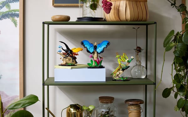 The Insect Collection - Image 11