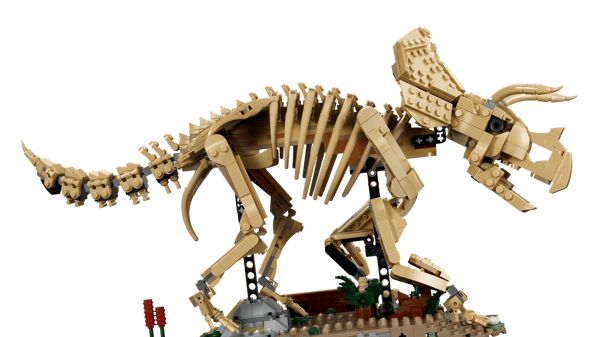 LEGO 77985 Les fossiles de dinosaure : le tricératops — visuel 3 sur 8