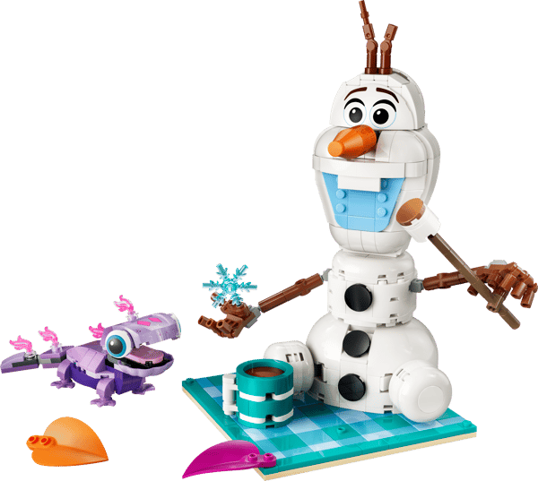 LEGO 43287 Le pique-nique d’Olaf et Bruni