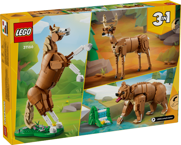 Beautiful Horse - Image 15
