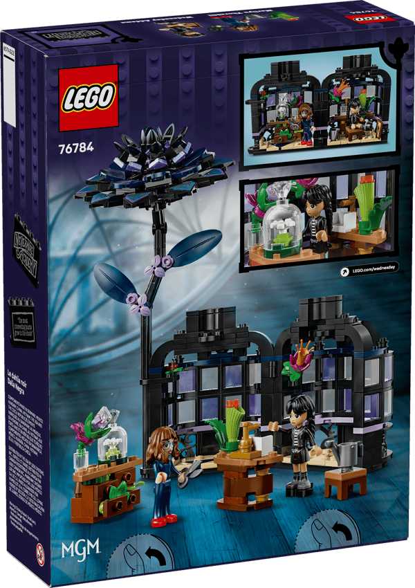 Black Dahlia Flower - Image 13