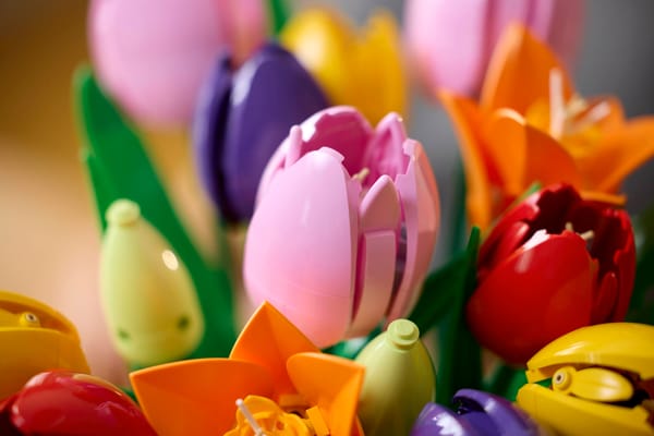 Tulip Bouquet - Image 12