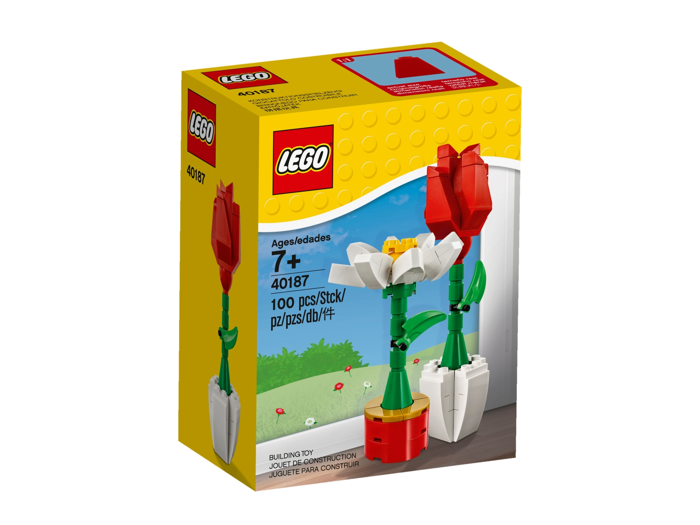 24866 1000 X LEGO ® FLEUR/FLOWER/5 pétales 1x1 En Blanc/White NEUF 