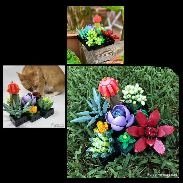 Succulents 10309 | Botanicals | Buy online at the Official LEGO