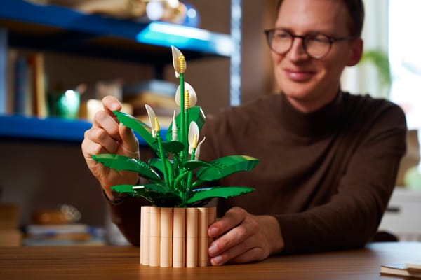 Peace Lily - Image 10