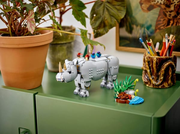 Wild Animals: Majestic Rhino with Birds - Image 12