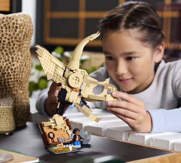LEGO 76969 Les fossiles de dinosaures : le crâne du tricératops — visuel 5 sur 8