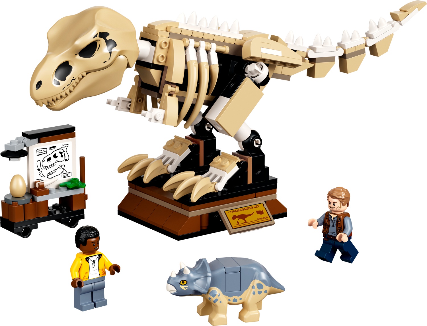 La mostra del fossile di dinosauro T. Rex
