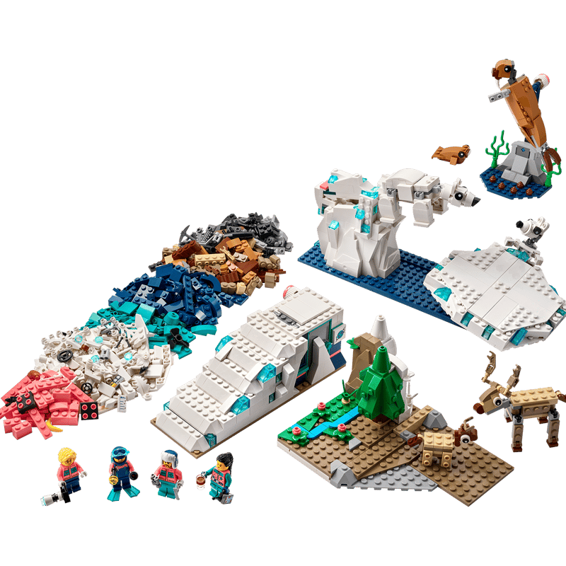 北極の動物 サイエンスキット 45203 | LEGO® Education |レゴ®ストア 北極の動物 サイエンスキット 45203 | LEGO® Education |レゴ®ストア