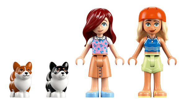 Surfing Dogs and Scooter Adventure - Image 7