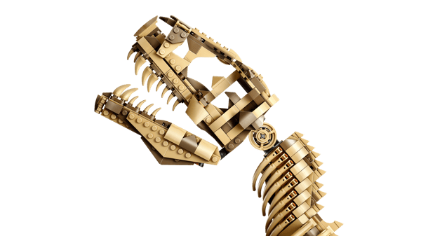 LEGO 76968 Les fossiles de dinosaures : le Tyrannosaurus rex — visuel 4 sur 8