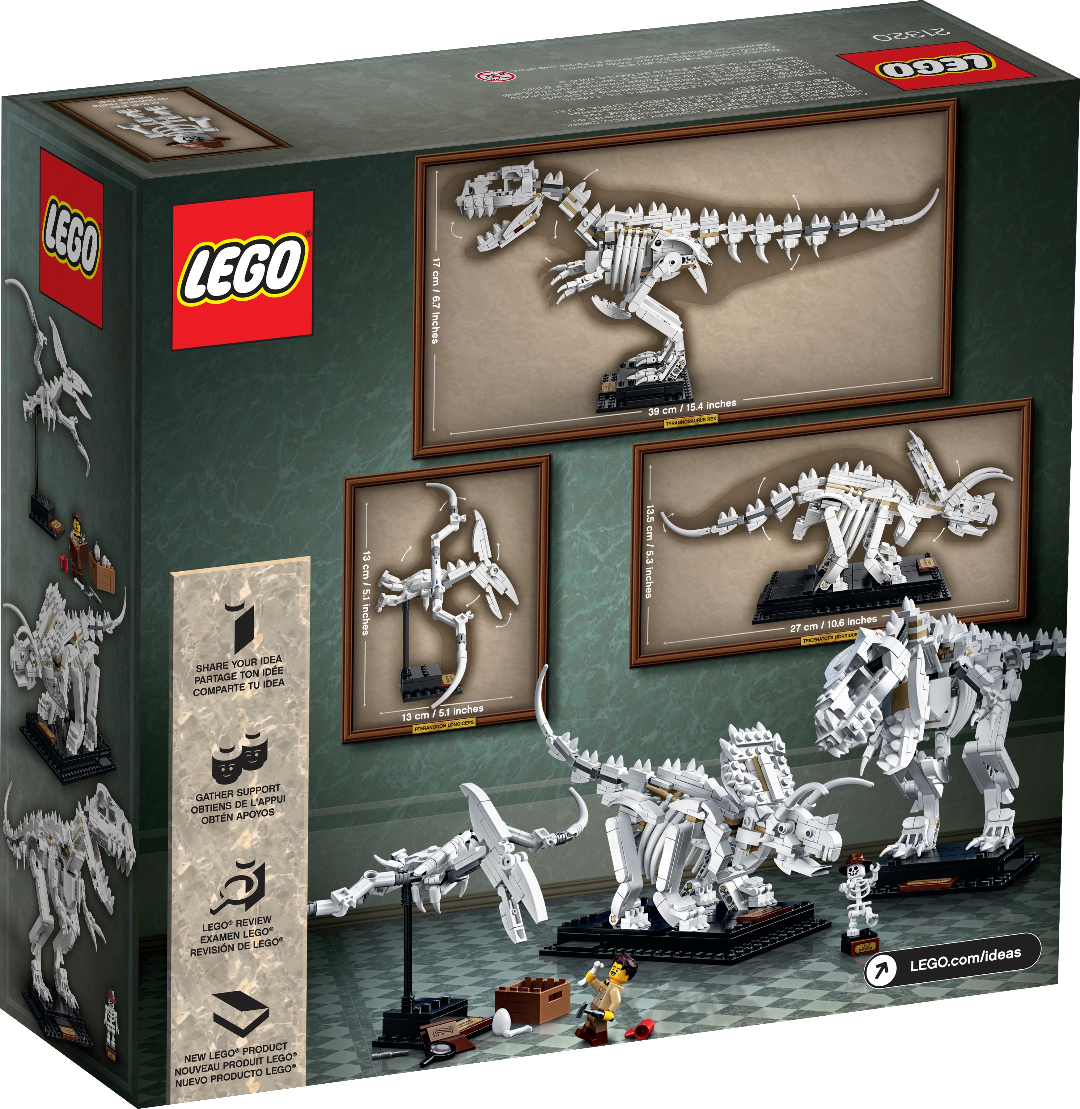 Dinosaur Fossils 21320 | Ideas | Buy online at the Official LEGO® Shop