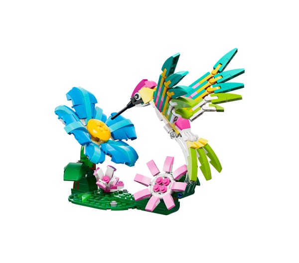 Vilde dyr: Farverig kolibri