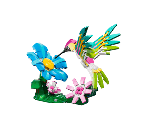 Animaux sauvages : le colibri coloré