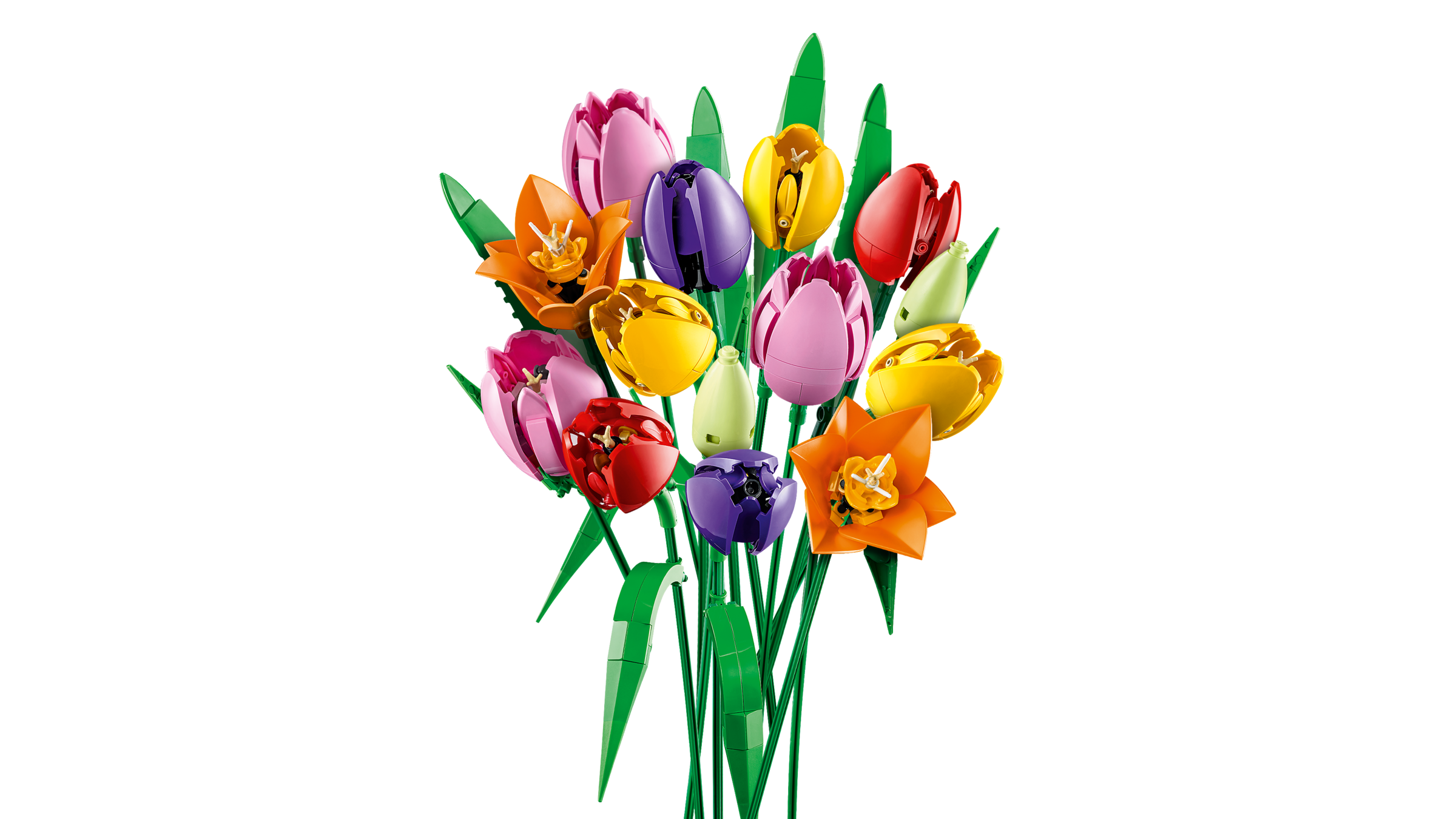 Tulip Bouquet