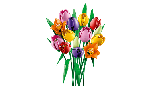 Tulip Bouquet