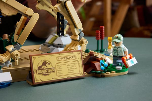 Dinosaur Fossils: Triceratops - Image 16