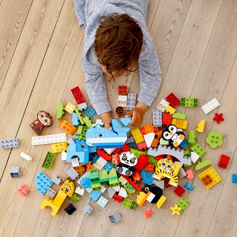 Creative animals - Main Image