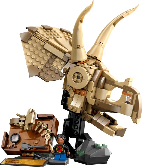 Dinosaurfossiler: Triceratops-kranium