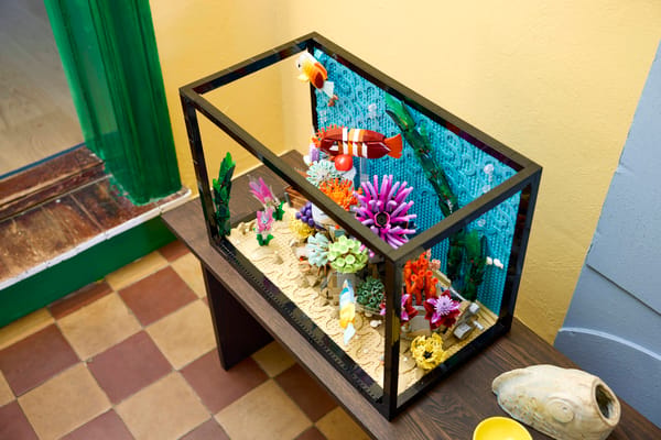 Tropical Aquarium - Image 20
