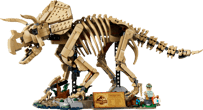 Dinosaur Fossils: Triceratops