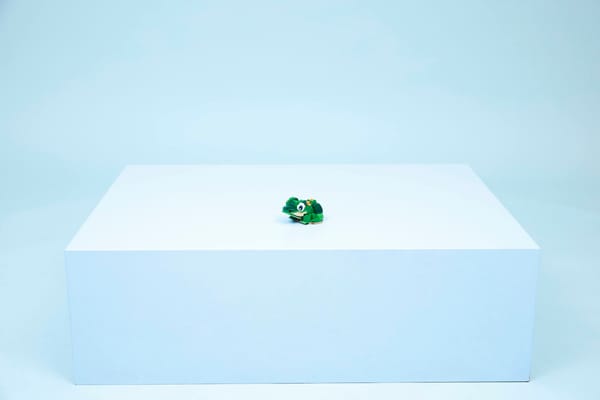 Turtle with a Water Lily Flower - Image 13